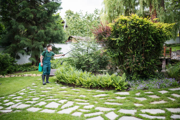Best Local Pest Control Services  in Elko New Market, MN