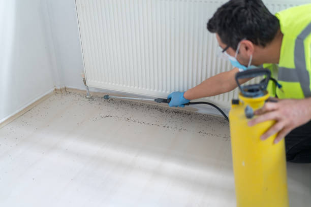 Best Pest Inspection Near Me  in Elko New Market, MN