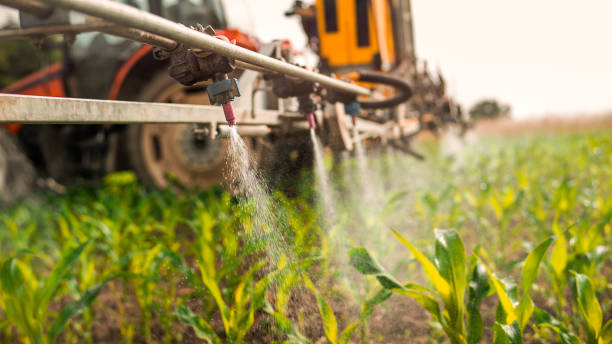 Best Insect Control  in Elko New Market, MN